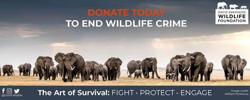 David Shepherd Wildlife Foundation